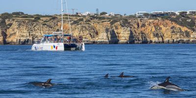 Dolphin watching boat tour off the Algarve coast