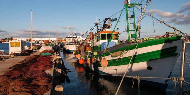 Things to Do in Olhão - Ria Formosa island hopping, lagoon kayaking, and a genuine working fish market