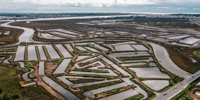 Castro Marim Natural Reserve - Portugal's first nature reserve, with salt marshes, flamingos, and ancient salt pans