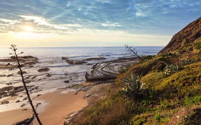 Sunset view of Praia da Carriagem with layered rock formations, agave plants on the clifftop, and the cove's natural amphitheatre shape