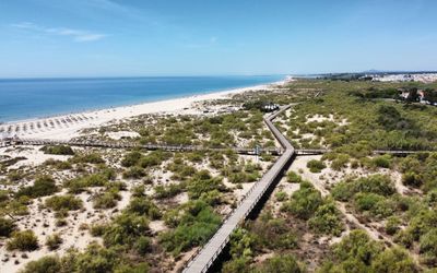 Aerial view of Praia da Altura with wooden boardwalk crossing dunes and vegetation towards a wide sandy beach with sunbeds and calm sea