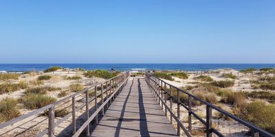 Wooden boardwalk with railings leading through sand dunes and coastal vegetation towards the sea