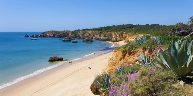 Praia do Vau - Calm family beach with rock pools worth exploring at every low tide