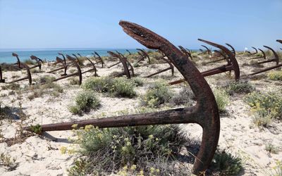 The Cemitério das Âncoras at Praia do Barril, with rows of rusted anchors standing upright in the sand like tombstones