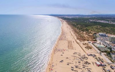 Aerial view of the long curved beach stretching into the distance with pine forests behind the dunes