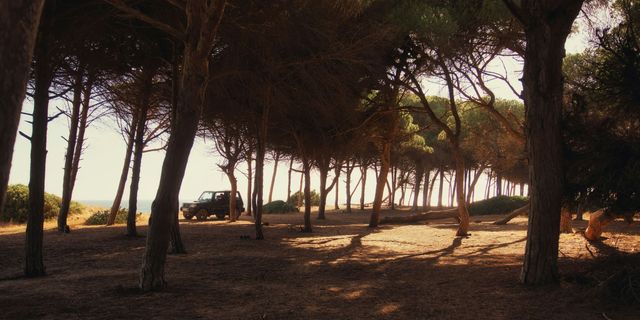 Golden Autumn in the Algarve - Warm sea, dropping crowds, harvest festivals, best value